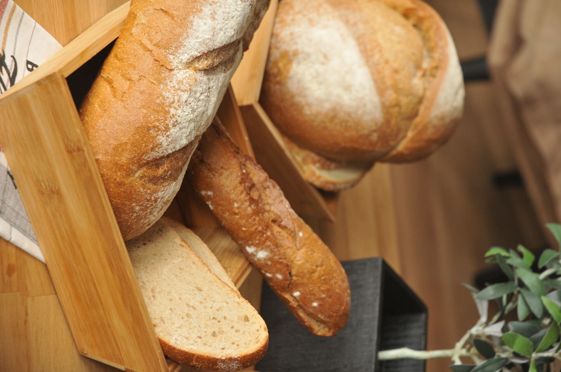 Solly - Ekmeklik 24 cm